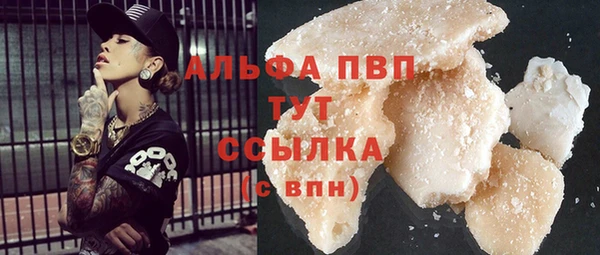прущий лед Алзамай