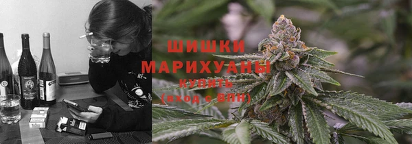 прущий лед Алзамай