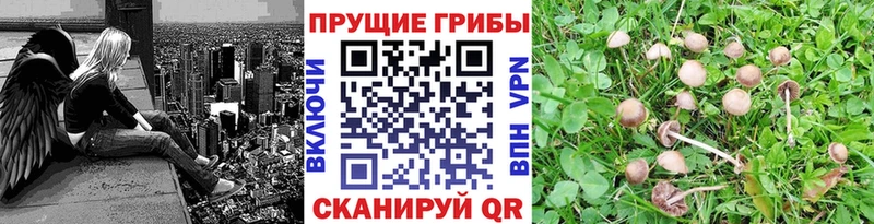 Псилоцибиновые грибы ЛСД дарнет шоп Клин
