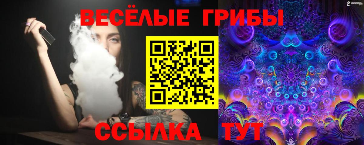 Галлюциногенные грибы Psilocybe Клин